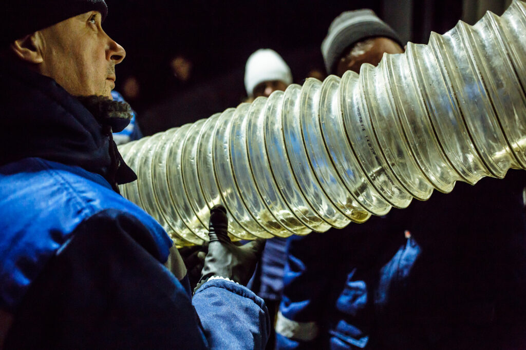 Выпуск молоди атлантического лосося-годовика